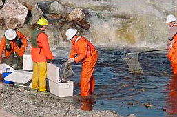 ABOUT HYDRO