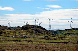 ALTERNATIVE ENERGY: WIND