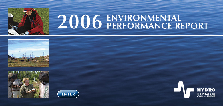 Hydro Environmental Report
