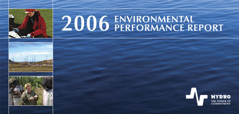 Hydro Environmental Report